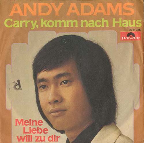 Albumcover Andy Adams - Carry komm nach Haus / Meine Liebe will zu dir