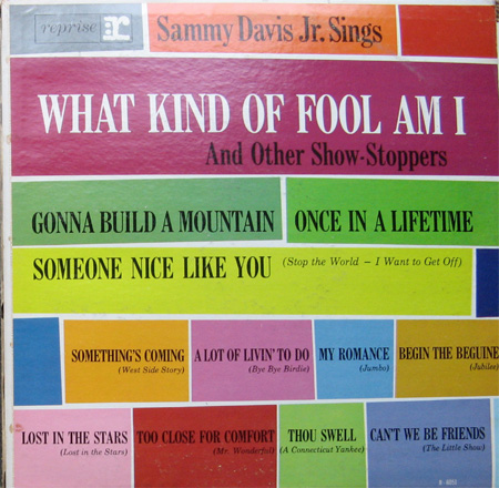 Albumcover Sammy Davis Jr. - What Kind Of Fool Am I and other Show-Stoppers