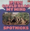 Cover: The Spotnicks - If You Could Read My Mind