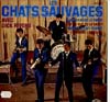 Cover: Les Chats Sauvages - Les Chats Sauvages avec Dick Rivers