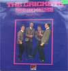 Cover: The Crickets - Rock Reflections