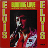 Cover: Elvis Presley - Burning Love And Other Hits From Movies Vol. 2 (Star Series)