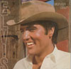 Cover: Elvis Presley - Guitar Man