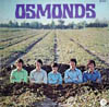 Cover: Osmonds - Osmonds