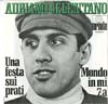Cover: Celentano, Adriano - Una festa sui prati / Mondo in mi 7. a