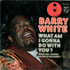 Cover: White, Barry - What Am I Gonna Do With You Baby ( voc. + instr.)