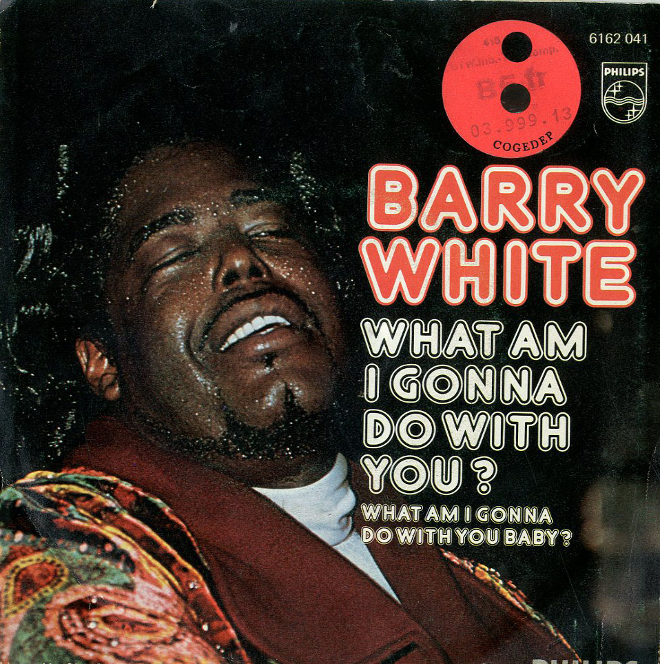 Albumcover Barry White - What Am I Gonna Do With You Baby ( voc. + instr.)