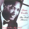 Cover: Sam Cooke and the Soul Stirrers - Gospel In My Soul