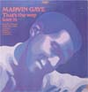 Cover: Marvin Gaye - That´s The Way Love Is