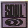 Logo des Labels Soul