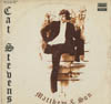 Cover: Cat Stevens - Mathew and Son / New Masters (DLP)