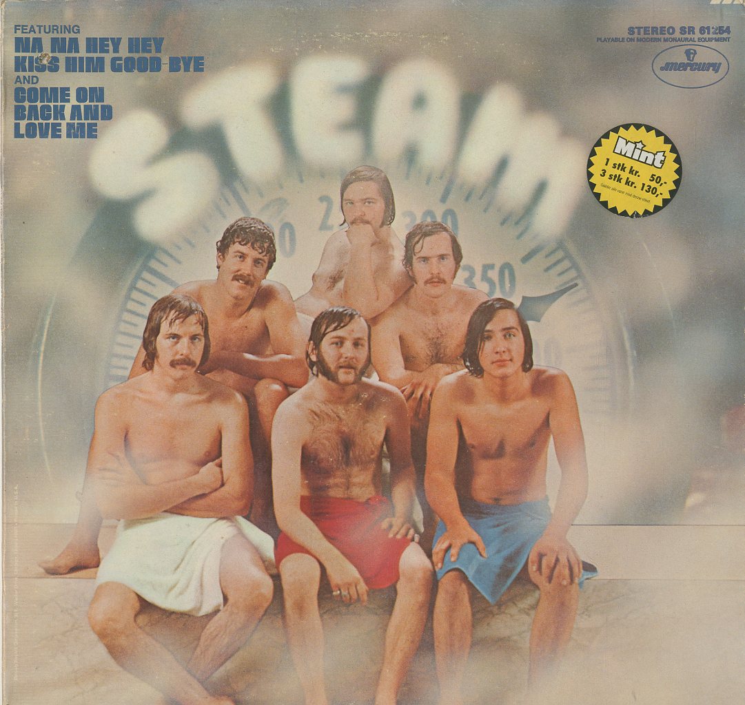 Albumcover Steam - Steam