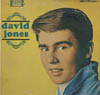 Cover: Davy Jones - David Jones