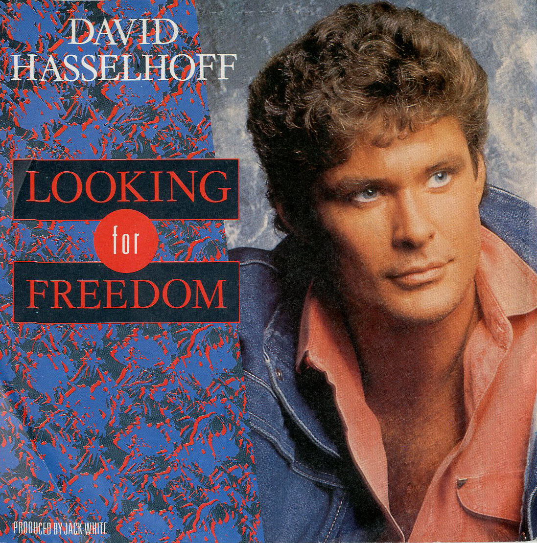 Albumcover David Hasselhoff - Looking For Freedom  (Vocal) / Looking For Freedom  (instrumental)