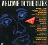 Cover: Blues-Artists, Various - Welcome To The Blues