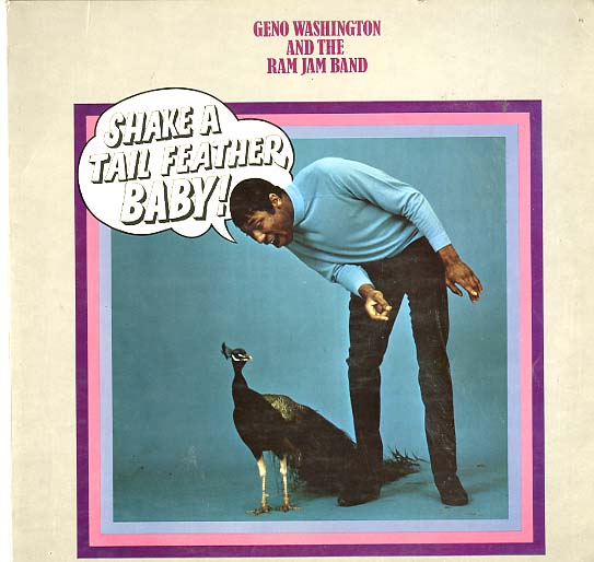 Albumcover Geno Washington & The Ram Jam Band - Shake A Feather Baby